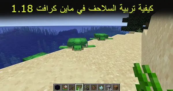 كيفية تربية السلاحف في ماين كرافت 1.18، ماين كرافت، ماين كرافت الجوال، فلم ماين كرافت، سيرفر ماين كرافت الجوال، سيرفرات ماين كرافت، افلام ماين كرافت، فيلم ماين كرافت، ماين كرافت جوال، سيرفر، كيفية عمل سيرفر في ماين كرافت الجوال، عمل سيرفر في ماين كرافت الجوال مجانا، كيفية عمل سيرفر في ماين كرافت الجوال مجانا، سيرفر في ماين كرافت الجوال مجانا و دائم مدى الحياة، ماين كرافت في رمضان، سيرفر ماين كرافت، ماين كرافت سيرفر، تحميل ماين كرافت، افضل سيرفر ماين كرافت، سيبرفر ماين كرافت، سيرفر ماين كرافت مكركة