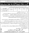 bps 1 to 4 jobs special person