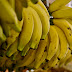 O assentamento Contagem – próximo às fábricas de cimento da Fercal – tem grande concentração de plantações de bananas, com 20 hectares de cultivo