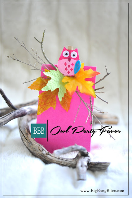 Owl Party Favor