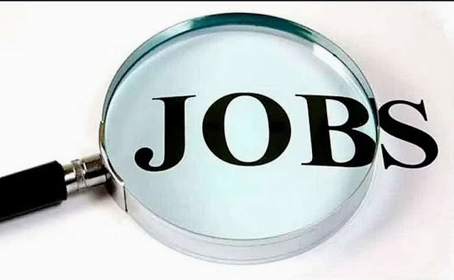 Job Mela In Bilaspur Chhattisgarh, बिलासपुर रोजगार कार्यालय में 1036 पदों पर इन्टरव्यू के थ्रू होगी सीधी भर्ती, अधिकतम सैलरी 25000 रुपए तक..!