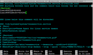 systemd Veeam service settings