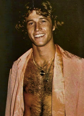 Andy Gibb 1978