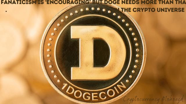 Fanaticism is ‘encouraging’ but DOGE needs more than that in the crypto universe-CryptocurrencyMohoagd