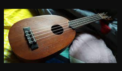 Top 10 Surprising Ukulele Facts