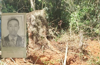 Trabalhador morre durante derrubada de árvore na zona rural de Machadinho D’Oeste