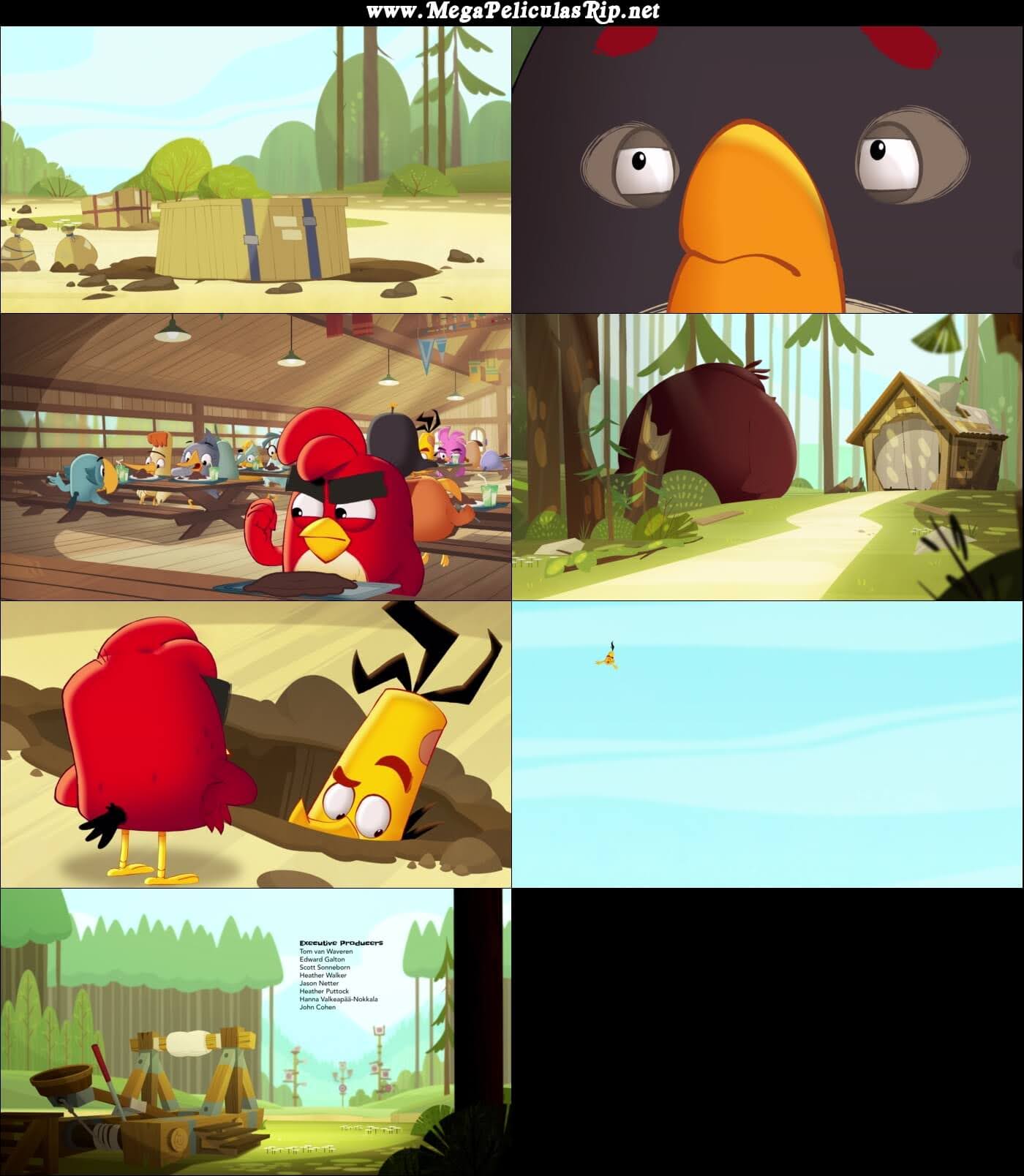 Angry Birds Un Verano De Locos Temporada 1 1080p Latino