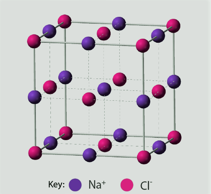 class 8 science chapter 4 in hindi medium