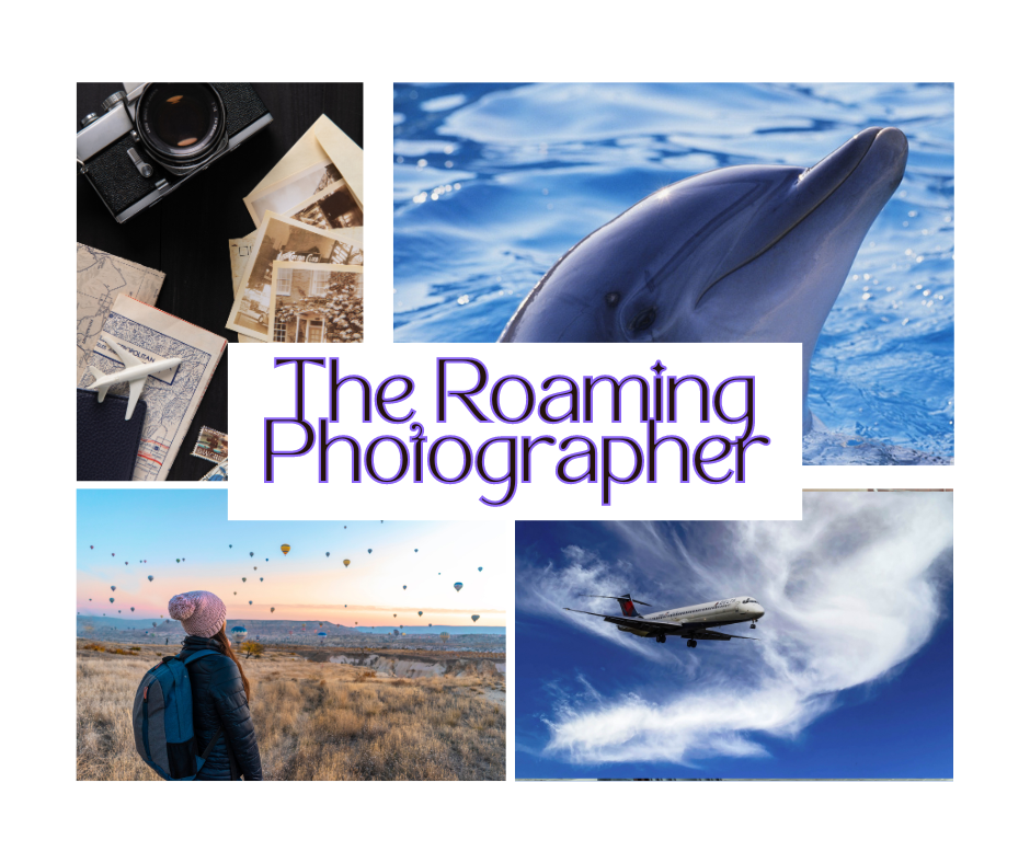 The Roaming Photographer