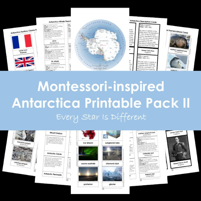 Antarctica unit printable pack