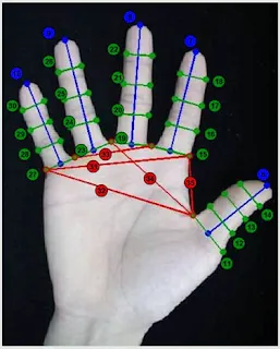 হ্যান্ড জিওমিট্রি (Hand geometry)