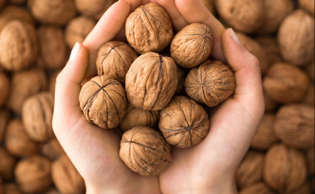 What are the benefits of walnuts for weight loss