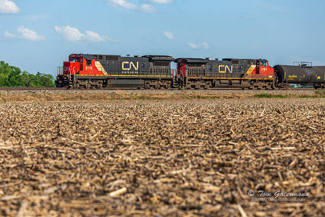 Looking across a corn field at CN 2110 and CN 2593 at Walnut Hill Road in Irvington, IL.