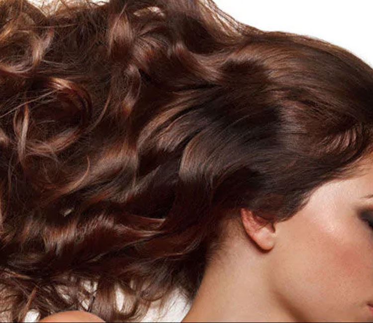 Benefits of Cranberry fruit for Hair