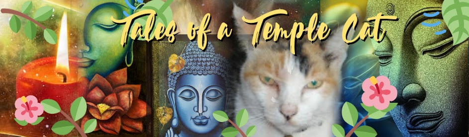 Tales of a Temple Cat