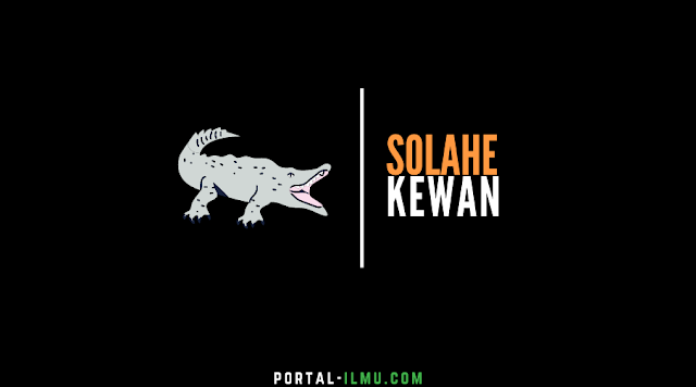 Solahe Kewan