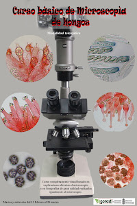 Curso Básico de Microscopía de hongos 2024