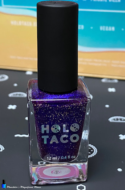 Holo Taco- Late Checkout