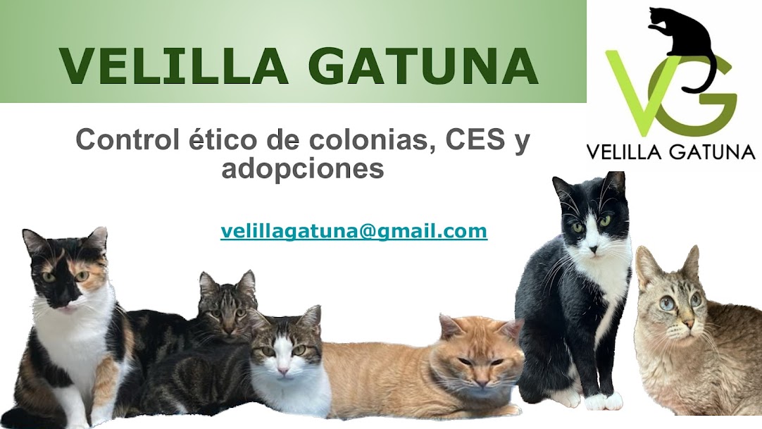 VELILLA GATUNA