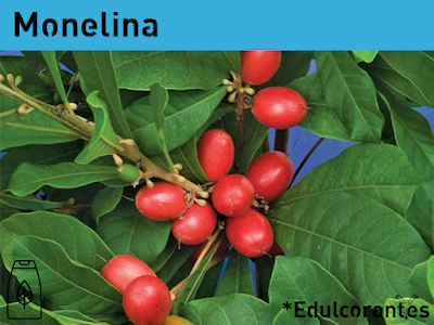 Toda la información sobre el edulcorante natural acalórico monelina en *Edulcorant.es
