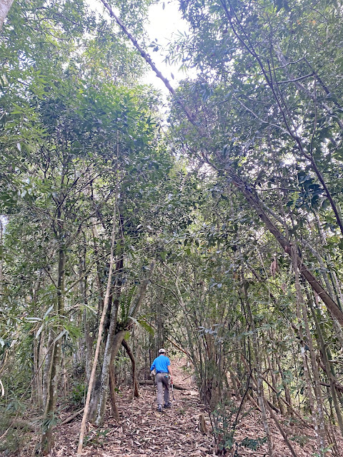 往草塌仔山