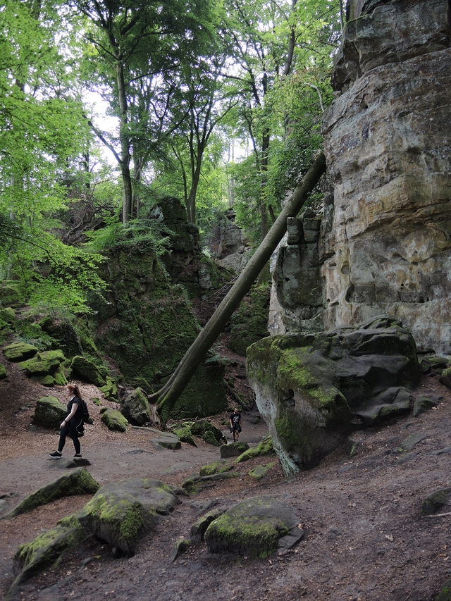 Trier: wandelen door de duivelskloof nabij Echternach