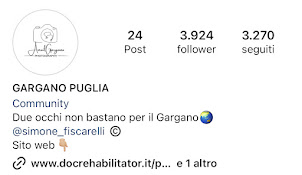 Pagina Instagram