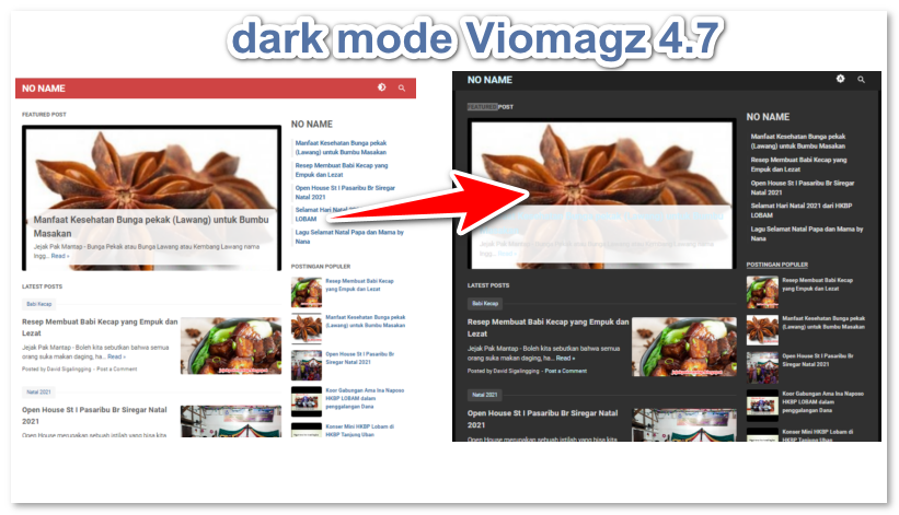 Cara Mudah Pasang Fitur Dark Mode Template Viomagz 4.7