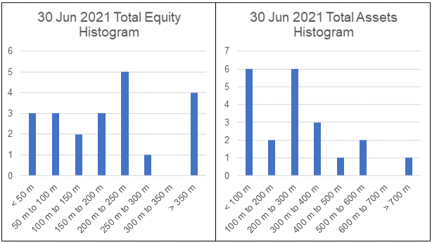 Furniture sector Total Equity and Total Assets histogram