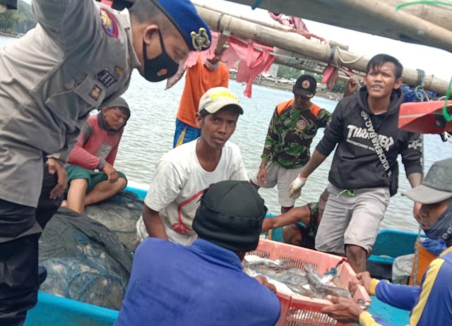 Terancam Punah, Inilah Daftar Ikan yang Dilindungi