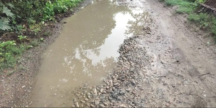Rain:बारिश में सड़के डूबीं नहर पटरी पर डेढ़ किमी में 500 गड्डे, कुमारगंज-गोकुल मार्ग की स्थिति खराब