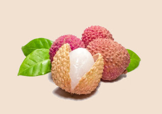 Litchi Fruit Benefits