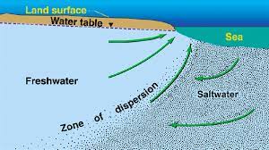 differentiate between saltwater vs freshwater pool