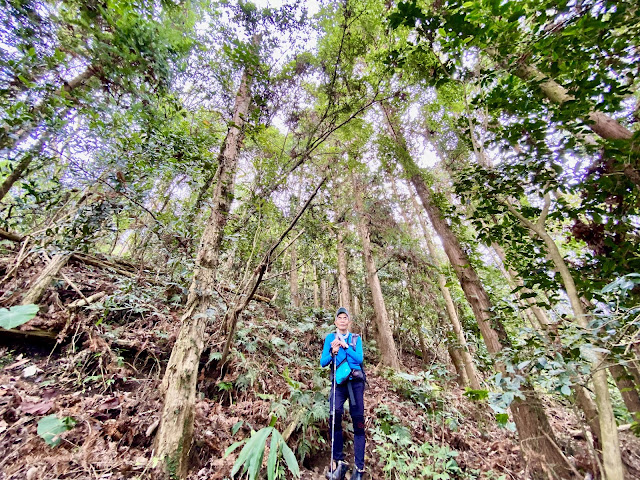 洗水山北峰下山途中