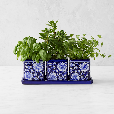 Herb Pots