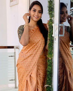 Actress Pavithra Janani saree photos collection HD