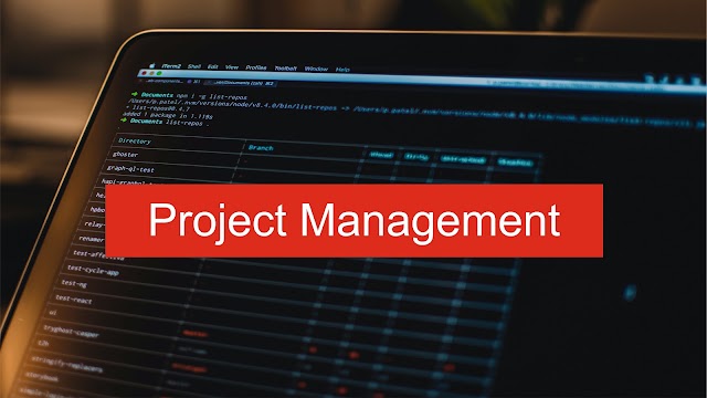 Project Management, Phases and Techniques 