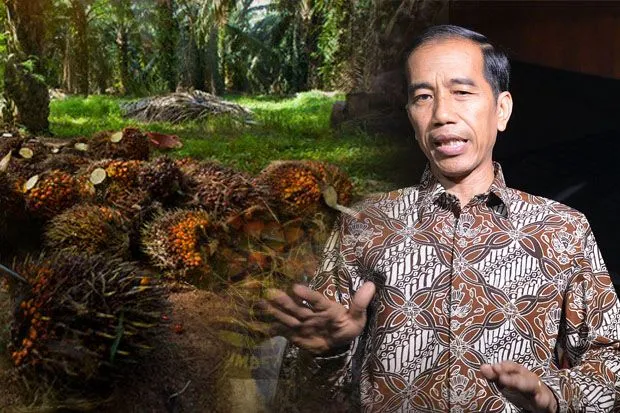 Kelangkaan Minyak Goreng Terus Terjadi, Keseriusan Jokowi Mulai Dipertanyakan: Masih Sanggup Gak Sih Jadi Presiden?