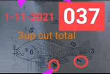 Thai lottery 1-02-2022 3Up Cut Total Open | Thai Lottery Tips 2022 | Thailand lottery 2022 - Thai lottery result today 1.02.2022