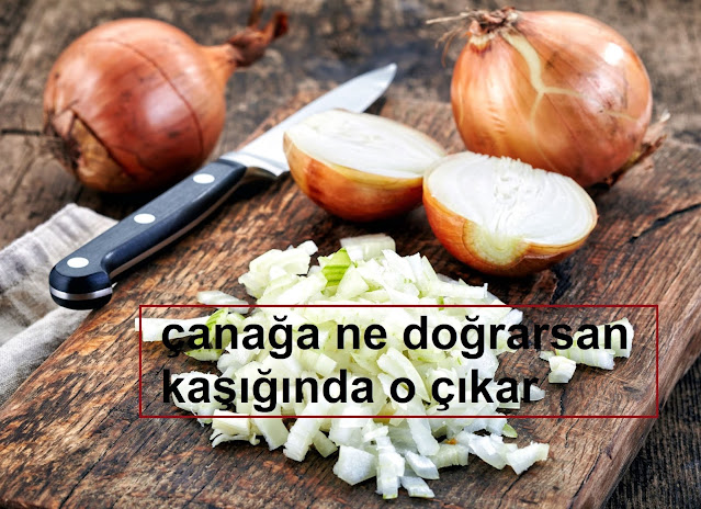 çanağa ne doğrarsan kaşığında o çıkar