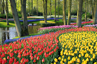 6 Tempat yang Harus Kamu Kunjungi Ketika Liburan Ke Belanda