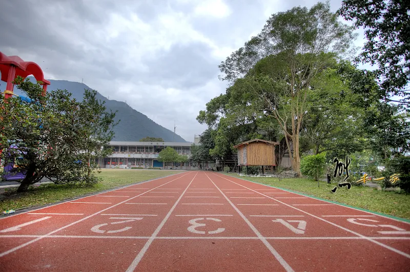 澳花國小｜南澳鄉景點｜宜蘭景點｜樟樹600年樹齡