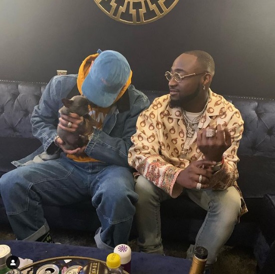 Bayelsa Show: This Is Why Davido Wanted  To Quit His Show For A Dog