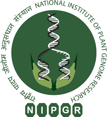 NIPGR Molecular Virology Research Asscociate Vacancy