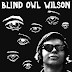 Blind Owl Wilson - Blind Owl Wilson