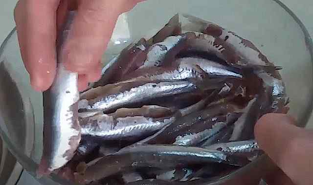 sardines, sardine, de belles Sardines fraîches, Sardines bienfaits et avantages, Sardines : recette de sardine aux épices, sardines aux piments,
