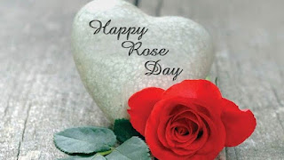 Happy rose day status video download