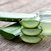 Amazing Uses for Aloe Vera and Its Benefits