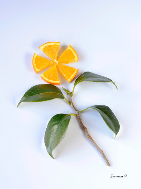 La flor naranja / Encarnita Fernández