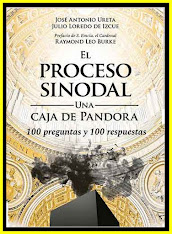 LIBRO:  El «Proceso sinodal: Una caja de Pandora»